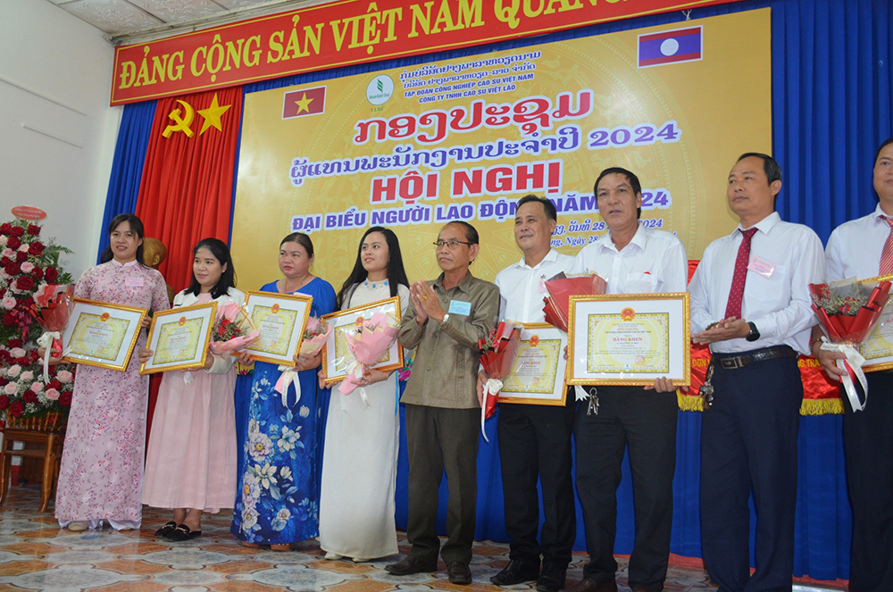 hình ảnh cao su việt lào